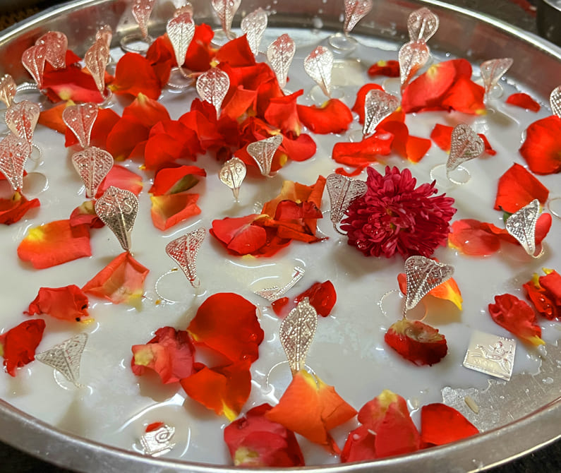 Kalsarp Dosh Nivaran Puja